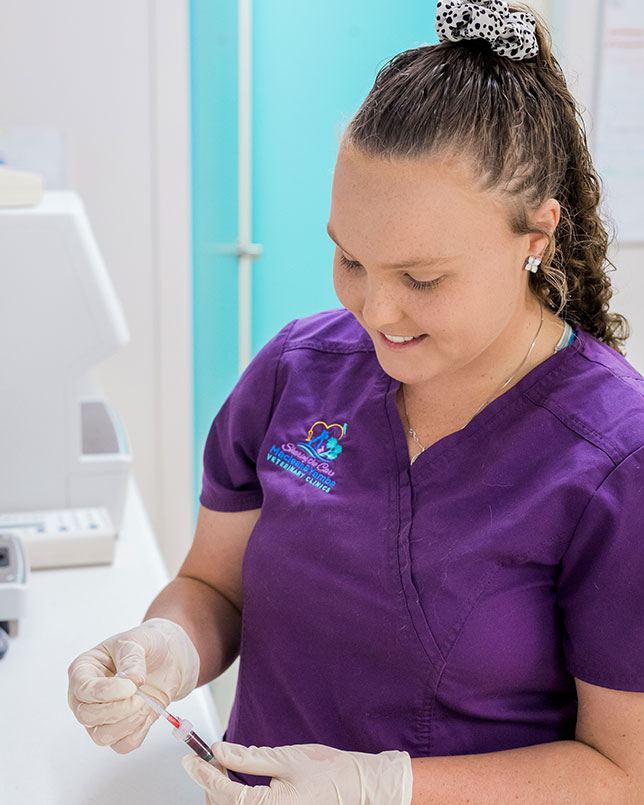 Shannon Maclean Veterinary Hospital